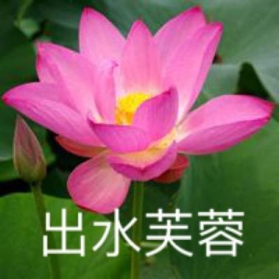剑气凌云官方下载