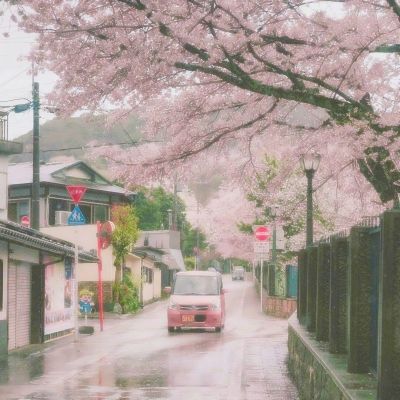 探险家手记bt版下载